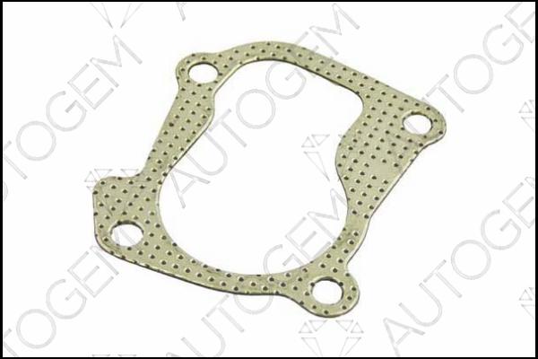 AUTOGEM CEG361 - Garnitura, racord evacuare aaoparts.ro