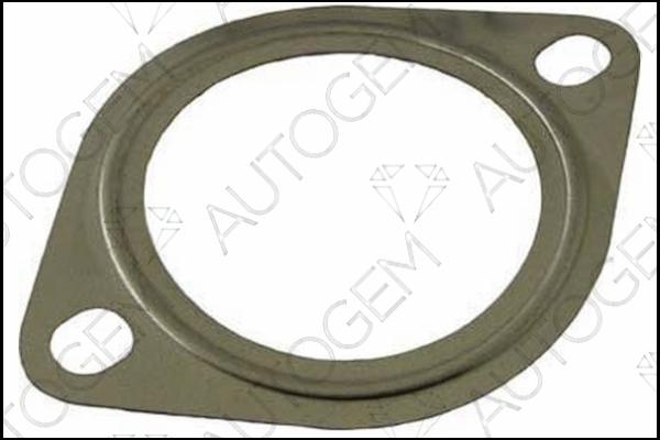 AUTOGEM CEG287 - Garnitura, racord evacuare aaoparts.ro