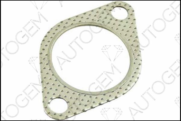 AUTOGEM EG60 - Garnitura, racord evacuare aaoparts.ro