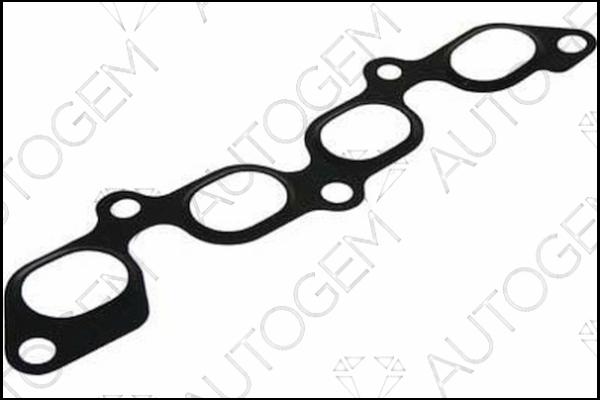 AUTOGEM MG462 - Garnitura, galerie evacuare aaoparts.ro