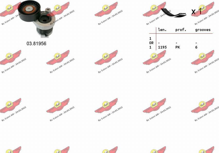 Autokit 06.0134 - Set curea transmisie cu caneluri aaoparts.ro