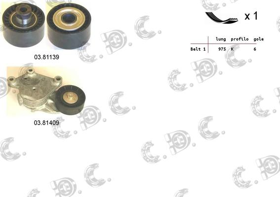 Autokit 06.0131 - Set curea transmisie cu caneluri aaoparts.ro