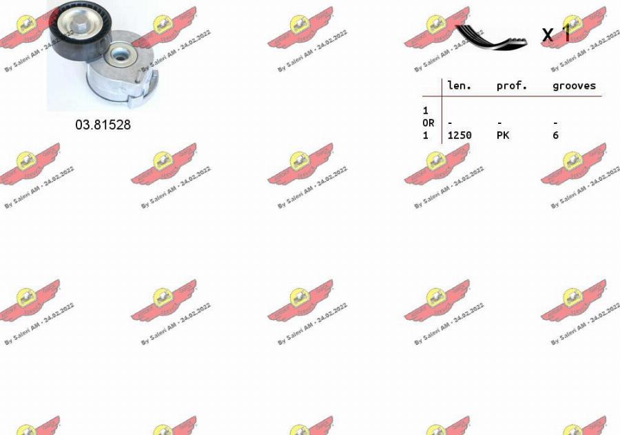 Autokit 06.0137 - Set curea transmisie cu caneluri aaoparts.ro