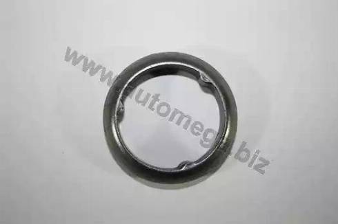 Automega 190033410 - Garnitura, racord evacuare aaoparts.ro