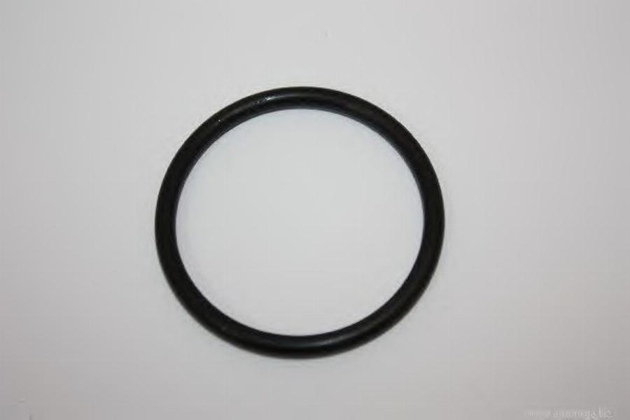 Automega 301210119032H - Garnitura termostat aaoparts.ro
