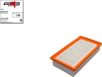 Automega 250051510 - Filtru aer aaoparts.ro