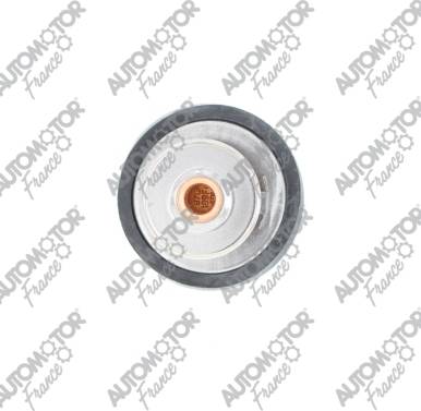 Automotor France PTH3487 - Termostat,lichid racire aaoparts.ro