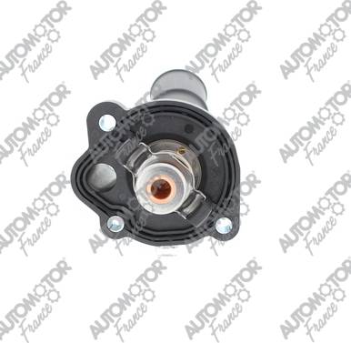 Automotor France PTH2936 - Termostat,lichid racire aaoparts.ro