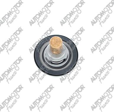 Automotor France PTH2507 - Termostat,lichid racire aaoparts.ro