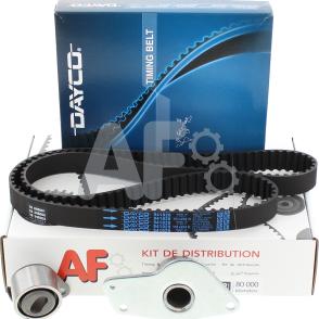 Automotor France PTK1089 - Set curea de distributie aaoparts.ro