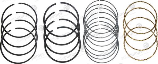 WELLS 50770000 - Set segmenti piston aaoparts.ro