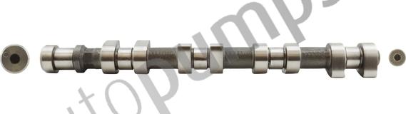 Autopumps UK AC8300 - Ax cu came aaoparts.ro