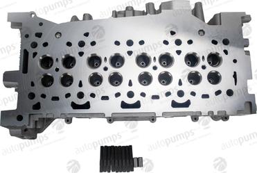 Autopumps UK ACHF8954 - Chiulasa aaoparts.ro