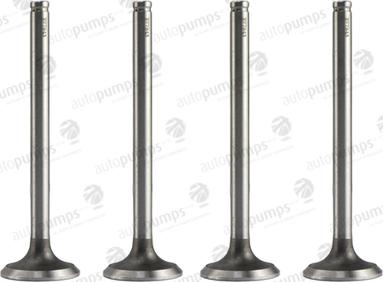 Autopumps UK AEV7843 - Supapa evacuare aaoparts.ro