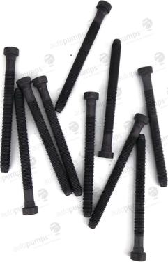 Autopumps UK AHB734SET - Set surub, chiulasa aaoparts.ro