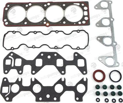 Autopumps UK AHSG806 - Set garnituri, chiulasa aaoparts.ro
