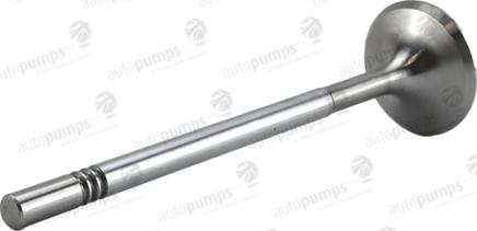 Autopumps UK AIV11088 - Supapa admisie aaoparts.ro