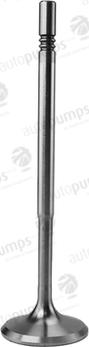 Autopumps UK AIV11083 - Supapa admisie aaoparts.ro