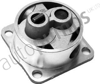 Autopumps UK AOP1182 - Pompa ulei aaoparts.ro