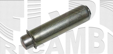 Autoteam A09832 - Amortizor vibratii, curea distributie aaoparts.ro