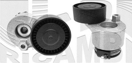 Autoteam A04800 - Intinzator curea, curea distributie aaoparts.ro