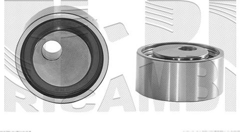 Autoteam A01976 - Rola intinzator,curea distributie aaoparts.ro