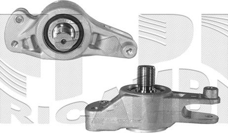 Autoteam A01492 - Intinzator curea, curea distributie aaoparts.ro