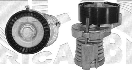 Autoteam A01452 - Intinzator curea, curea distributie aaoparts.ro
