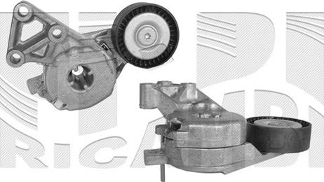 Autoteam A01212 - Intinzator curea, curea distributie aaoparts.ro