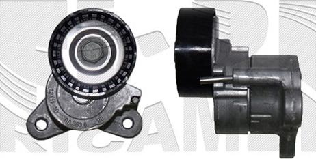 Autoteam A08188 - Intinzator curea, curea distributie aaoparts.ro