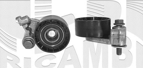 Autoteam A02120 - Rola intinzator,curea distributie aaoparts.ro