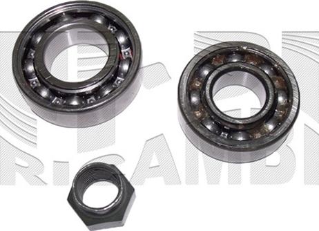 Autoteam RA2314 - Set rulment roata aaoparts.ro