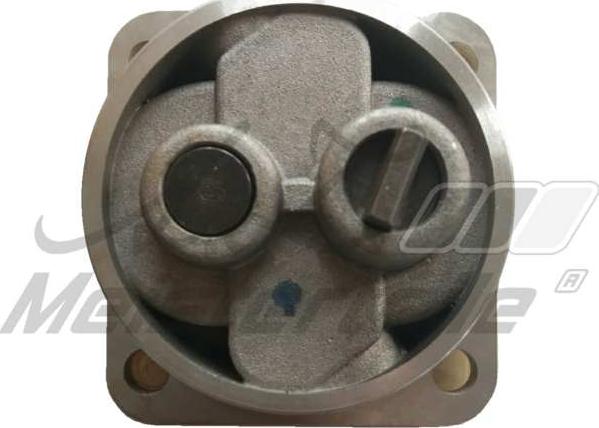 A.Z. Meisterteile AZMT-46-030-1227 - Pompa ulei aaoparts.ro