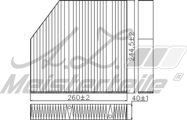 A.Z. Meisterteile AZMT-41-010-1757 - Filtru, aer habitaclu aaoparts.ro