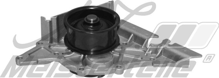 A.Z. Meisterteile AZMT-30-100-1176 - Pompa apa aaoparts.ro