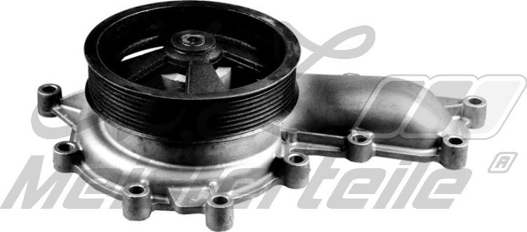 A.Z. Meisterteile AZMT-30-100-1306 - Pompa apa aaoparts.ro