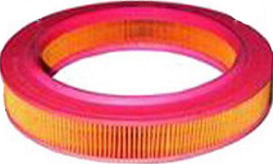 Azumi A43039 - Filtru aer aaoparts.ro