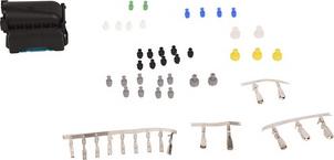 BAPMIC BF0136370001 - Set reparat cabluri, faruri principale aaoparts.ro