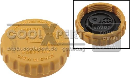BBR Automotive 001-10-26224 - Buson,vas expansiune aaoparts.ro