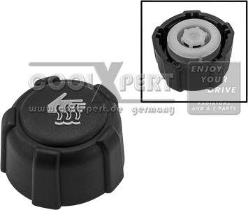 BBR Automotive 001-10-22078 - Buson,vas expansiune aaoparts.ro