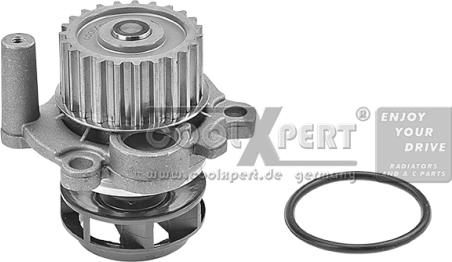 BBR Automotive 002-60-00161 - Pompa apa aaoparts.ro