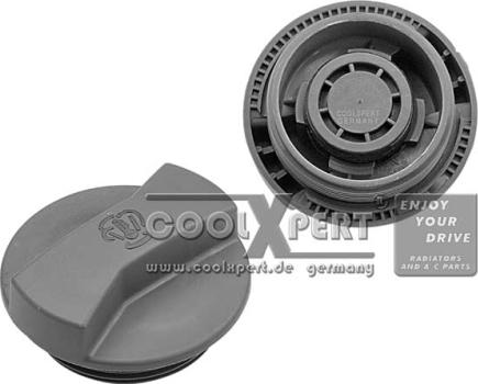 BBR Automotive 002-60-01041 - Buson,vas expansiune aaoparts.ro