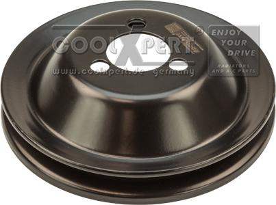 BBR Automotive 002-30-03674 - Fulie, pompa apa aaoparts.ro