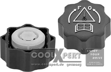 BBR Automotive 027-60-13448 - Buson,vas expansiune aaoparts.ro
