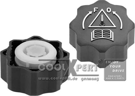 BBR Automotive 027-60-13454 - Buson,vas expansiune aaoparts.ro