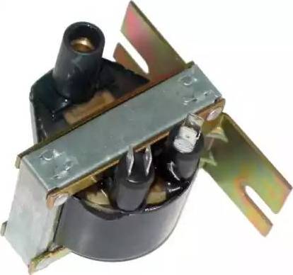 BBT IC05100 - Bobina de inductie aaoparts.ro