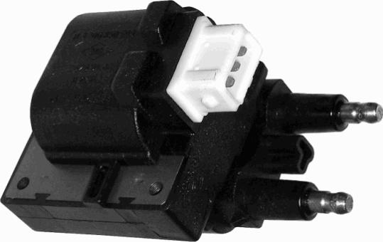Delphi CE10021-12B1 - Bobina de inductie aaoparts.ro