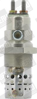 BorgWarner (BERU) GF529 - Bujie incandescenta aaoparts.ro