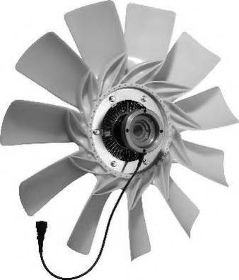 BorgWarner (BERU) LKK036 - Ventilator, radiator aaoparts.ro