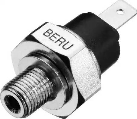 BorgWarner (BERU) SPR050 - Senzor,presiune ulei aaoparts.ro